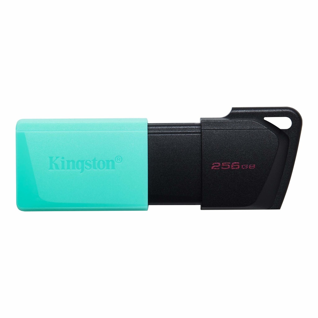 [DTXM/256GB] Memoria USB  Kingston Technology DATATRAVELER EXODIA M